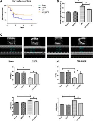 Grape Seed Proanthocyanidin Extract Ameliorates Cardiac Remodelling After Myocardial Infarction Through PI3K/AKT Pathway in Mice